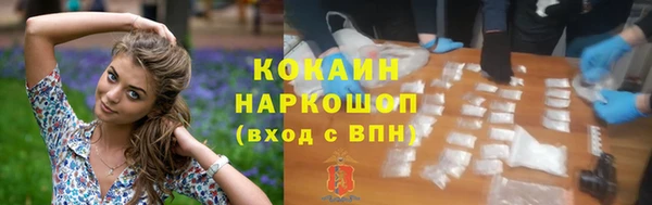 твердый Арсеньев