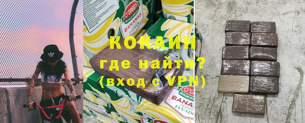 твердый Арсеньев